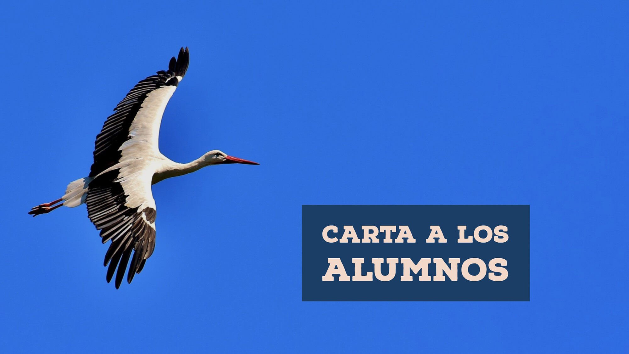 Carta a los alumnos