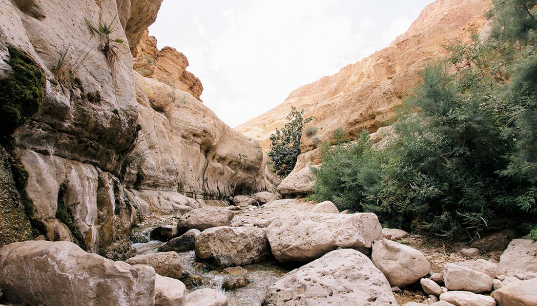 Ein Gedi, Israel. foto: Rob Bye