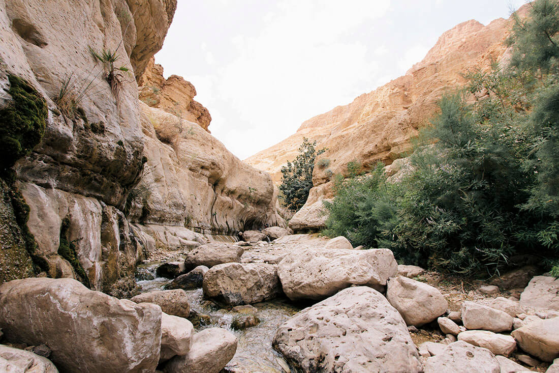 Ein Gedi, Israel. foto: Rob Bye