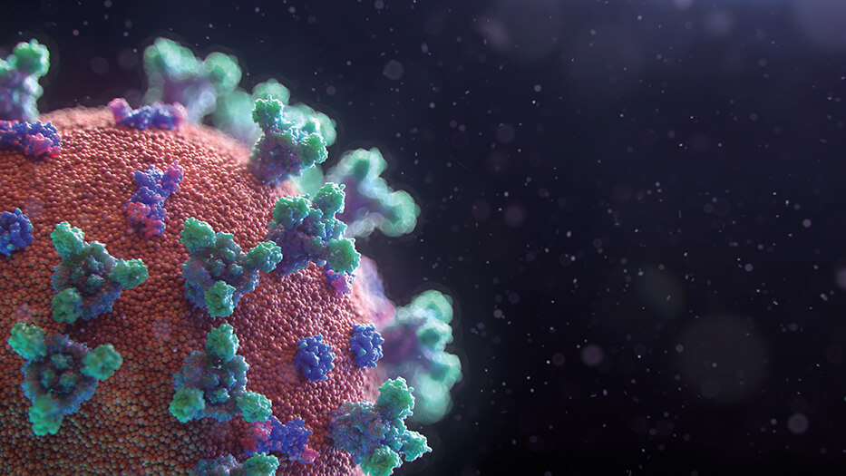 Foto: Fusion Medical Animation