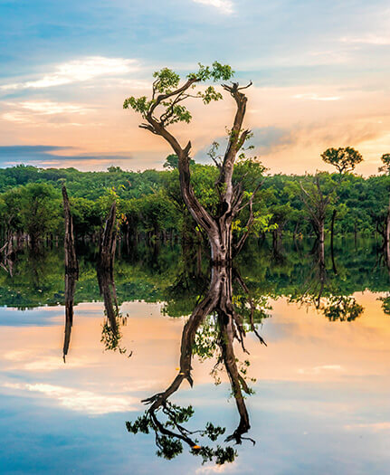 Río Amazonas (Brasil). Foto: Sébastian Goldberg