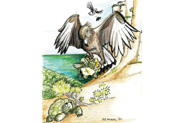 El águila y la tortuga. Ilustración: Juan Francisco Miral