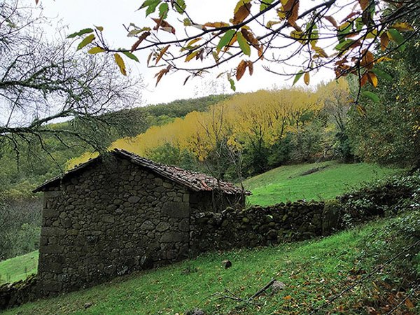 Camino de la peña de Francia